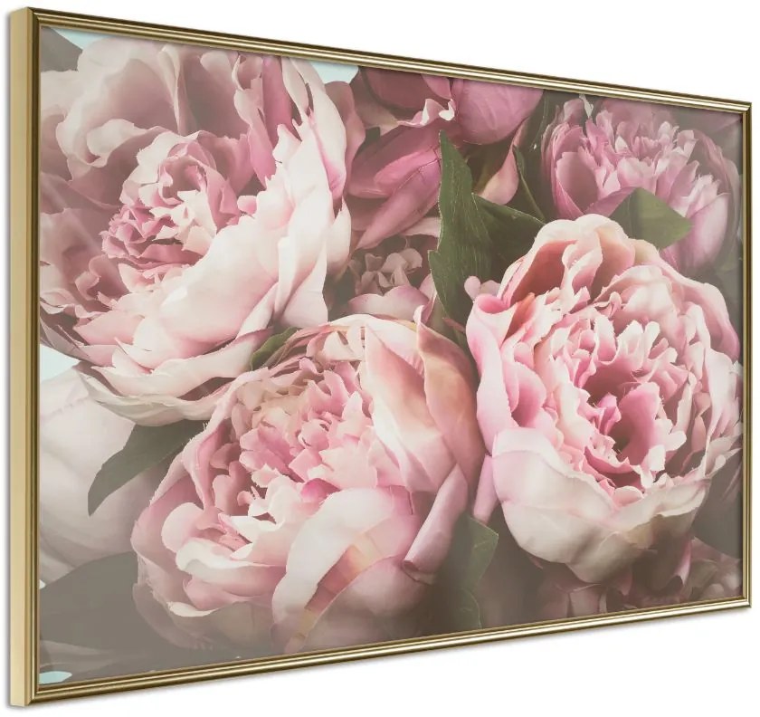 Αφίσα - Pastel Peonies - 30x20 - Χρυσό - Χωρίς πασπαρτού