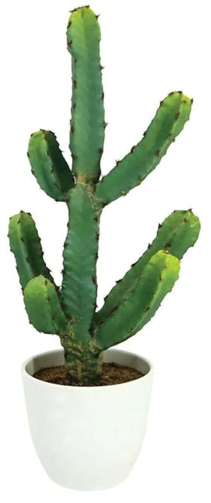 Τεχνητός Κάκτος Σε Κασπώ 04-00-22096 22x20x48cm White-Green Marhome Synthetic