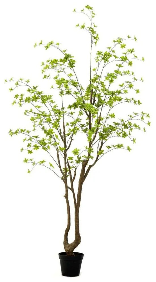 Τεχνητό Δέντρο Φίκος Pumila 6770-6 240cm Green Supergreens Polyethylene,Fabric