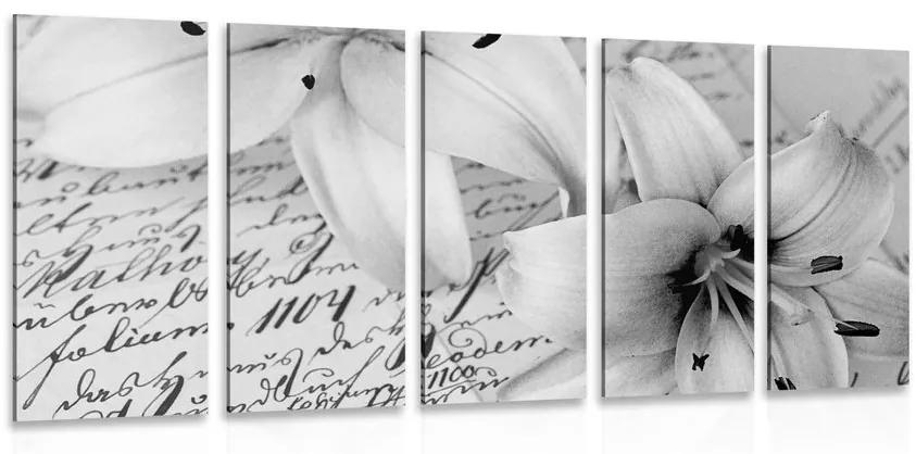 Κρίνος εικόνας 5 μερών σε ένα παλιό έγγραφο σε ασπρόμαυρο - 100x50