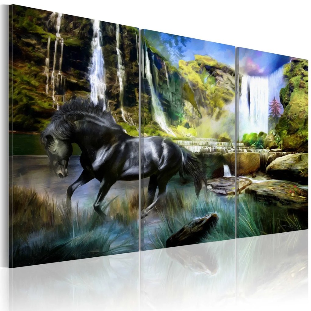 Πίνακας - Horse on the sky-blue waterfall background 60x40