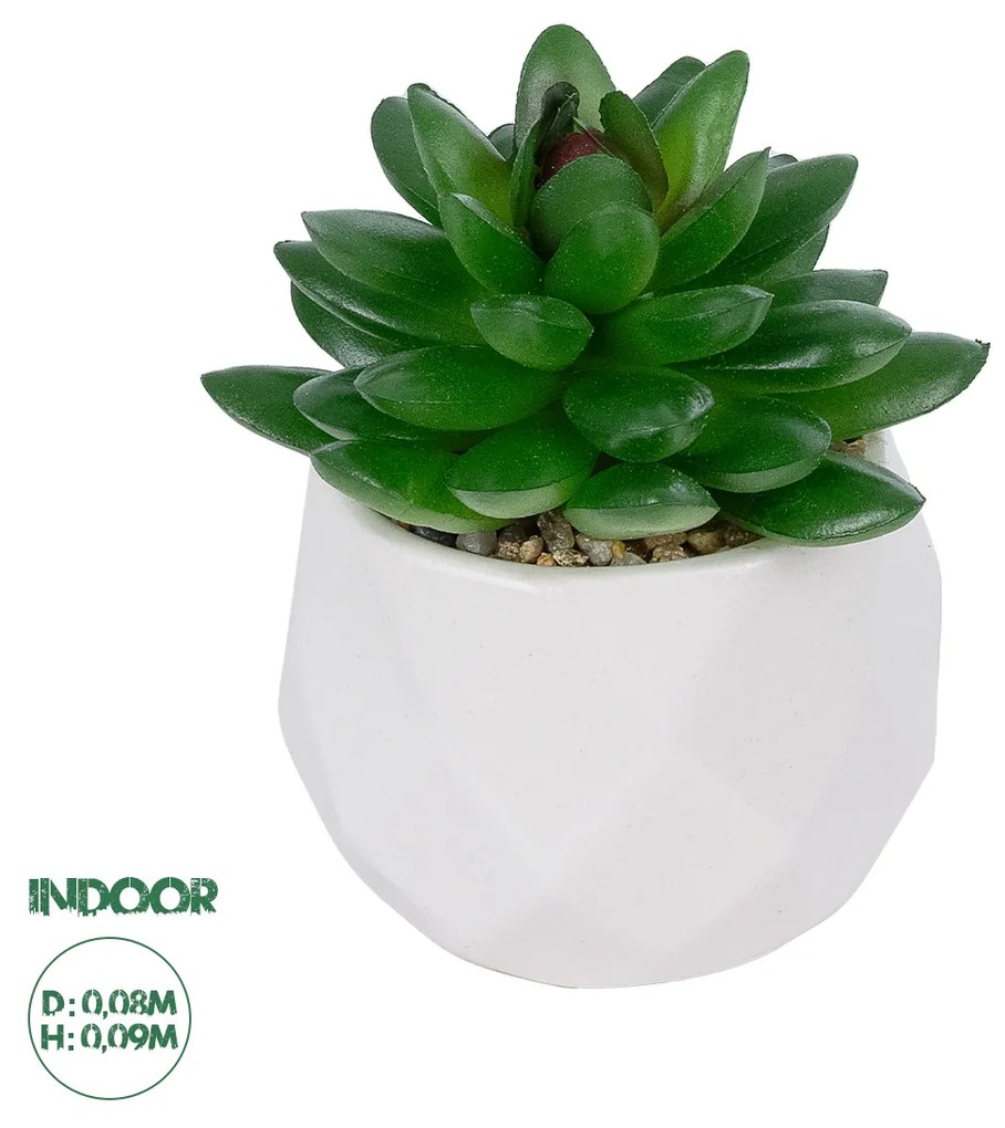 GloboStar® Artificial Garden SUCCULENT SEDEVERIA POTTED PLANT 21002 Διακοσμητικό Φυτό Σεδεβέρια  Φ8 x Υ9cm