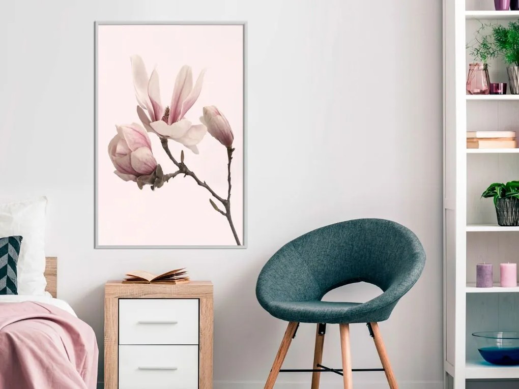 Αφίσα - Blooming Magnolias II - 20x30 - Μαύρο - Χωρίς πασπαρτού