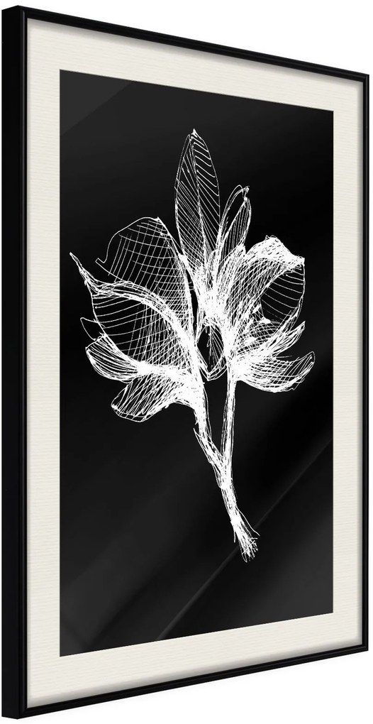 Αφίσα - White Plant - 20x30 - Μαύρο - Με πασπαρτού