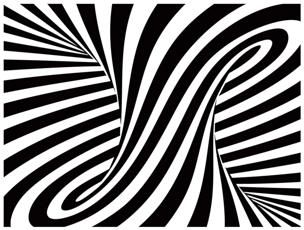 Φωτοταπετσαρία - optical art: black and white 250x193