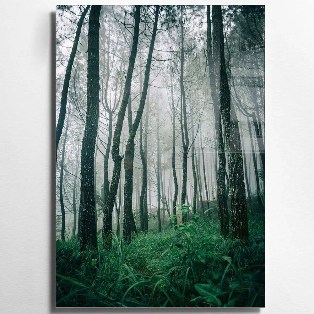 Πίνακας Γυάλινος 970GLS1284 70x100cm Multi Wallity Κάθετοι Glass