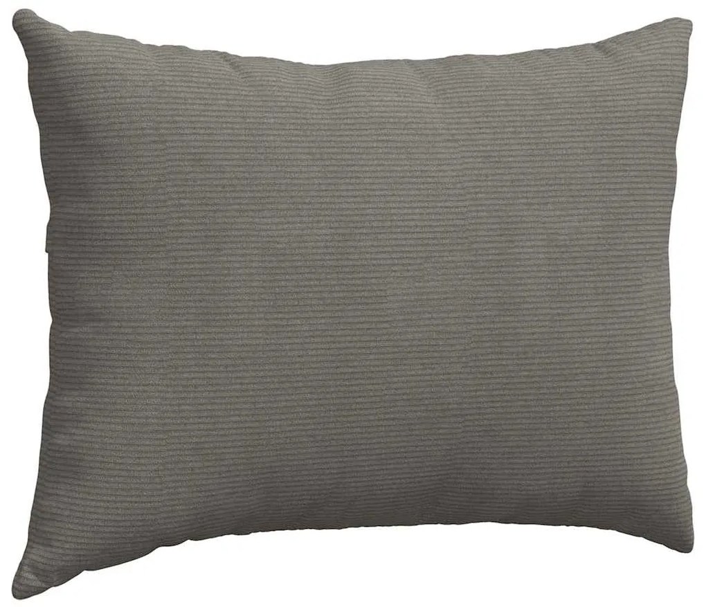 vidaXL Μαξιλάρι Καναπέ 2 pcs Ανοιχτό γκρι 70 x 50 cm