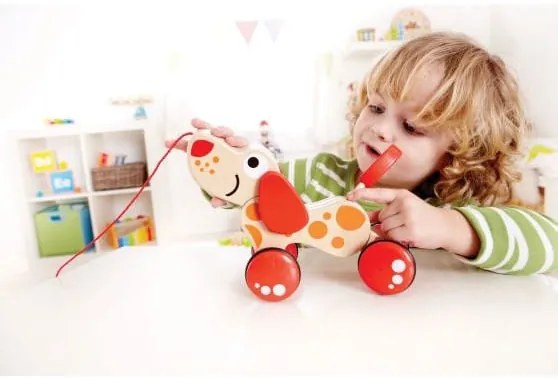Ξύλινο Συρόμενο Σκυλάκι "Push & Pull Walk-A-Long Puppy" Hape