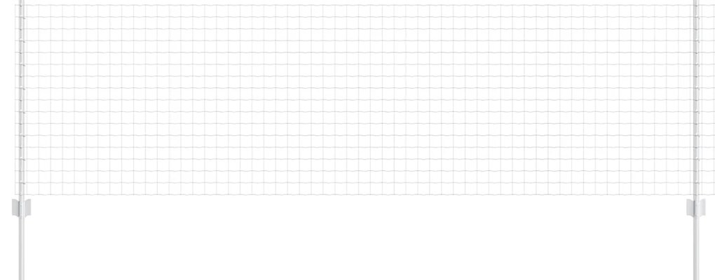 Τείχος και Πόστ Ασημί 0,8 x 10 m Ατσάλι