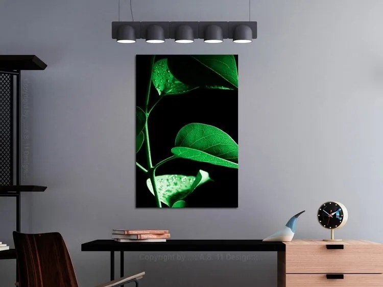 Πίνακας - Plant in Black (1 Part) Vertical - 40x60