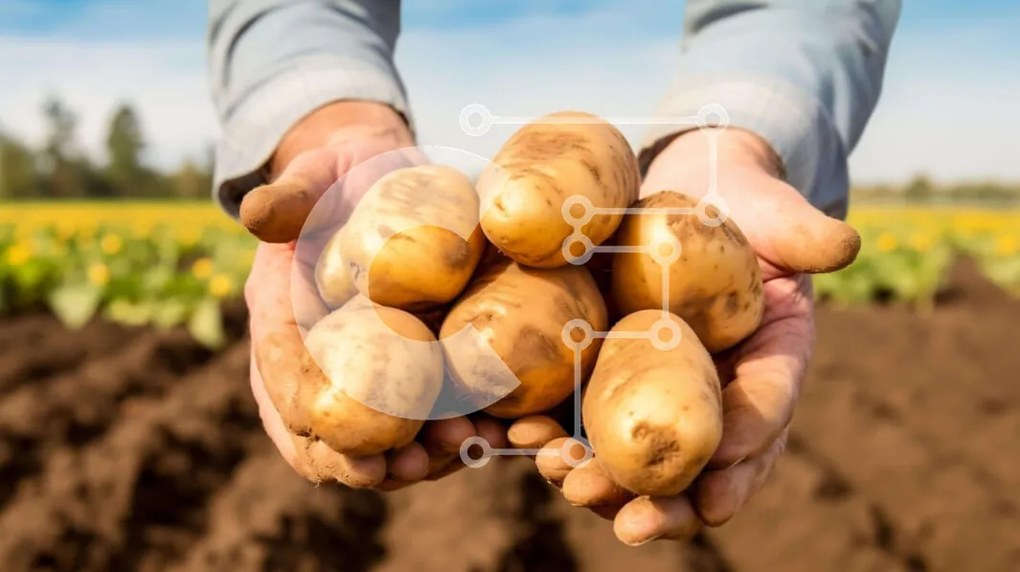 Intra Συλλεκτικό Ξύλινο Παζλ Plywood 4mm - Άνθρωπος που συγκομίζει πατάτες από το χωράφι Σε Ξύλινο Κουτί - Διαστάσεις: 10x10 cm – 25 κομμάτια