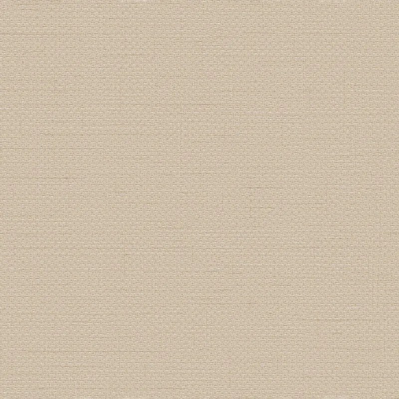 Μονόχρωμη Τεχνοτροπία Τοίχου WF121035 53x1000cm