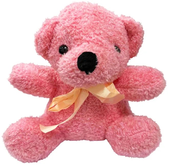 Λούτρινο Αρκουδάκι- Teddy Bear
