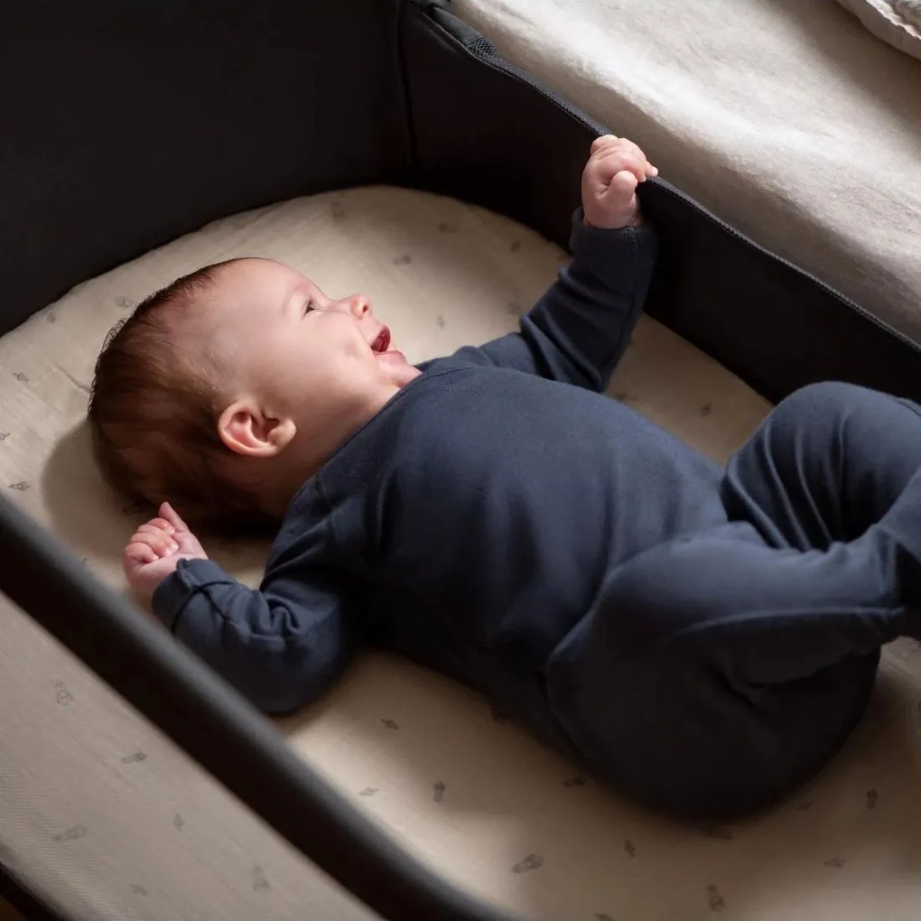 ΛΙΚΝΟ Maxi Cosi TORI BEYOND GRAPHITE