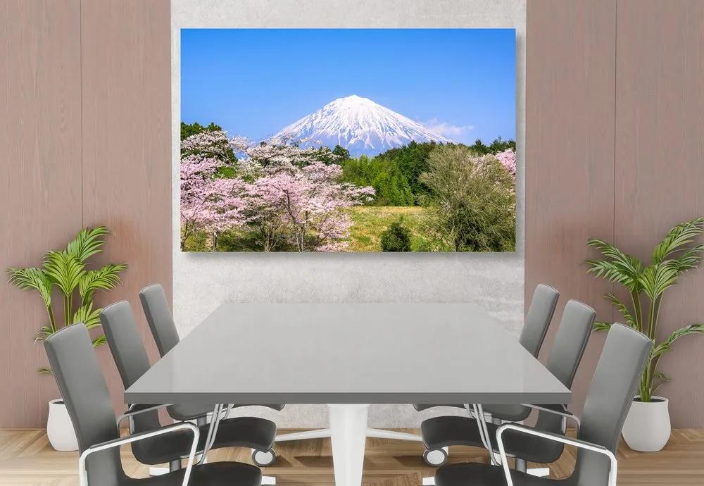 Εικόνα ηφαίστειο Φούτζι - 60x40