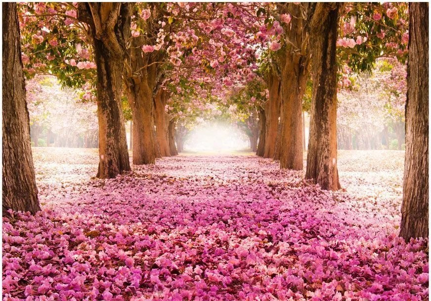 Αυτοκόλλητη φωτοταπετσαρία - Pink grove - 147x105