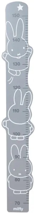 Χάρακας ανάπτυξης Miffy