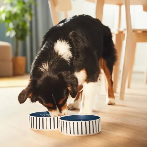 UTSADD μπολ για κατοικίδια, 15 cm 505.692.02