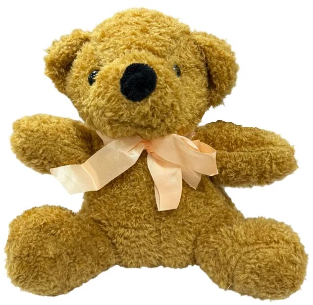 Λούτρινο Αρκουδάκι- Teddy Bear