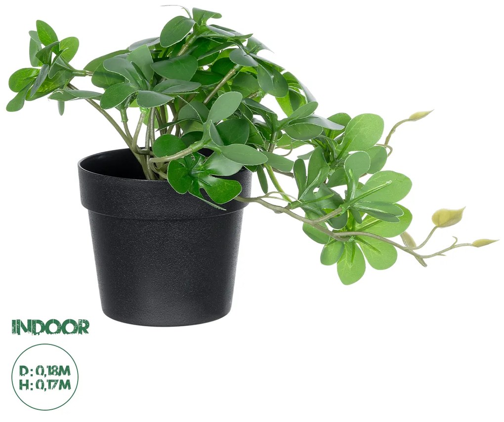 GloboStar® Artificial Garden SCHEFFLERA PLANT 20954 Διακοσμητικό Φυτό Σεφλέρα Φ18 x Υ17cm