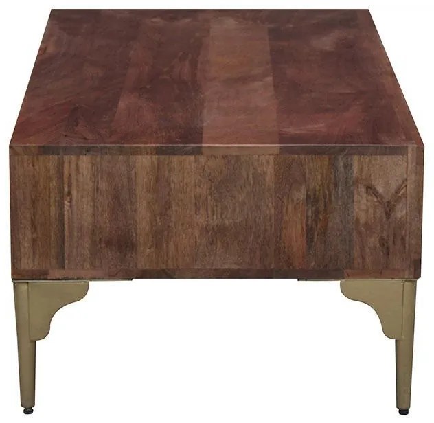 Τραπεζάκι Σαλονιού Amrita Καφέ 120x40x60εκ. 120x60x40 εκ.