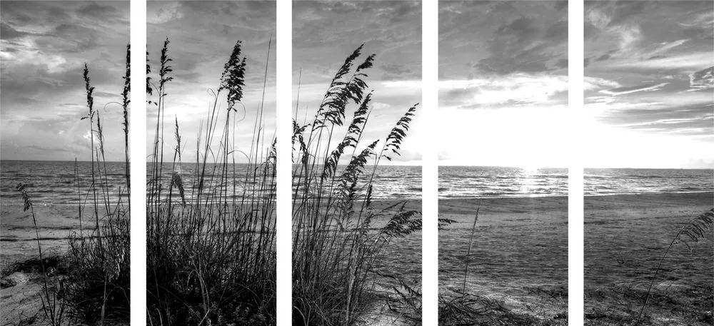Εικόνα 5 μερών ενός ηλιοβασιλέματος στην παραλία σε ασπρόμαυρο