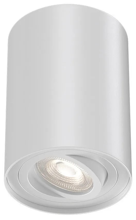 Φωτιστικό Σποτ Braytron BH04-00200 Λευκό (White)