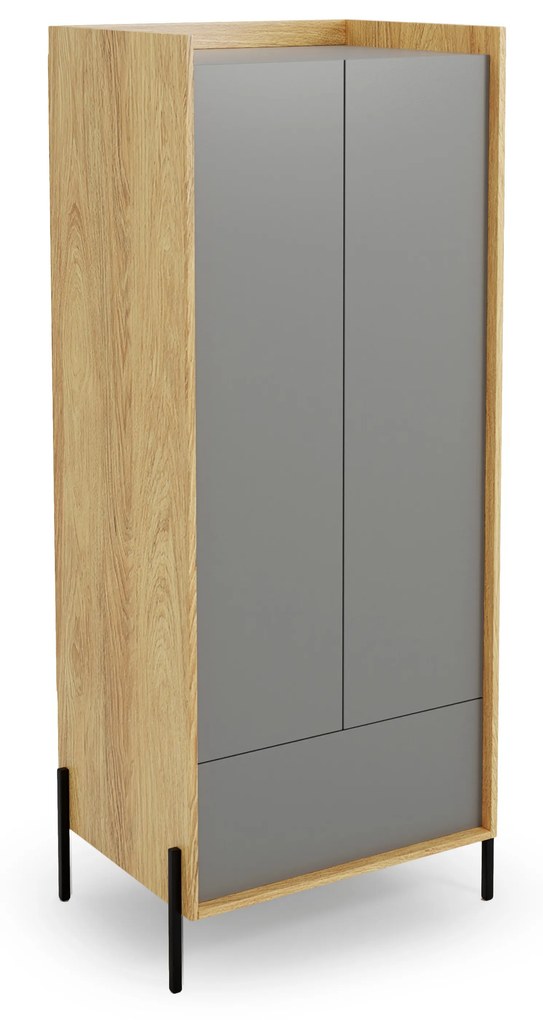 MOBIUS cabinet 2D color: hikora oak/grey dusty DIOMMI V-PL-MOBIUS-SZAFA_2D-SZARY