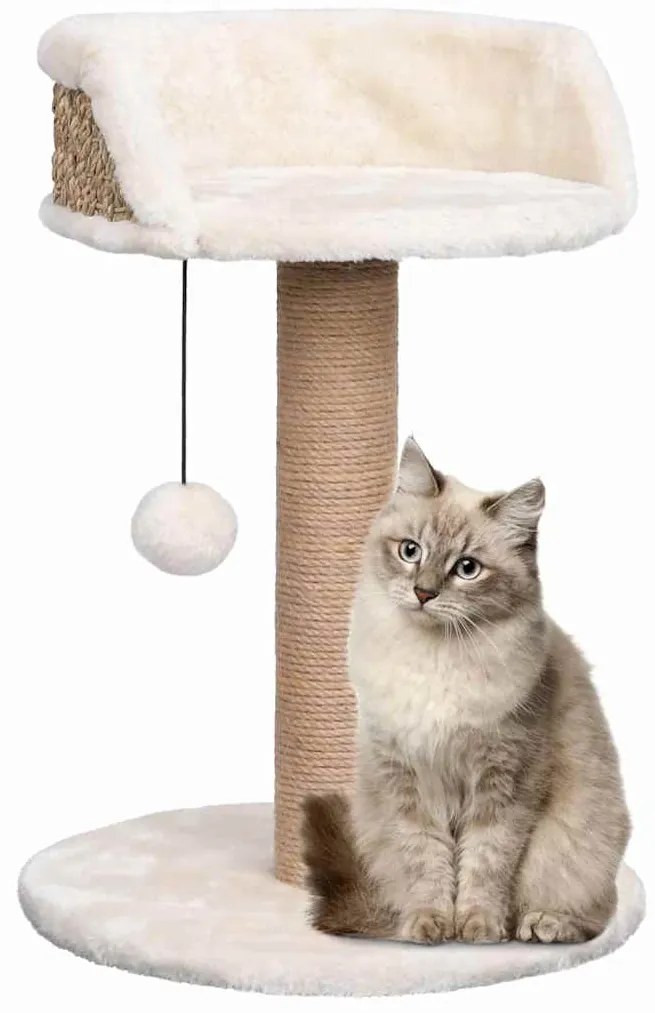 vidaXL Γατόδεντρο 49 εκ. από Seagrass με Στύλο Ξυσίματος