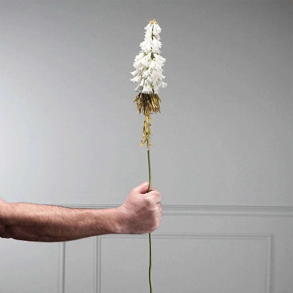 Τεχνητό Κλωνάρι Κνιφόφια 4310-7 80cm White Supergreens Polyethylene