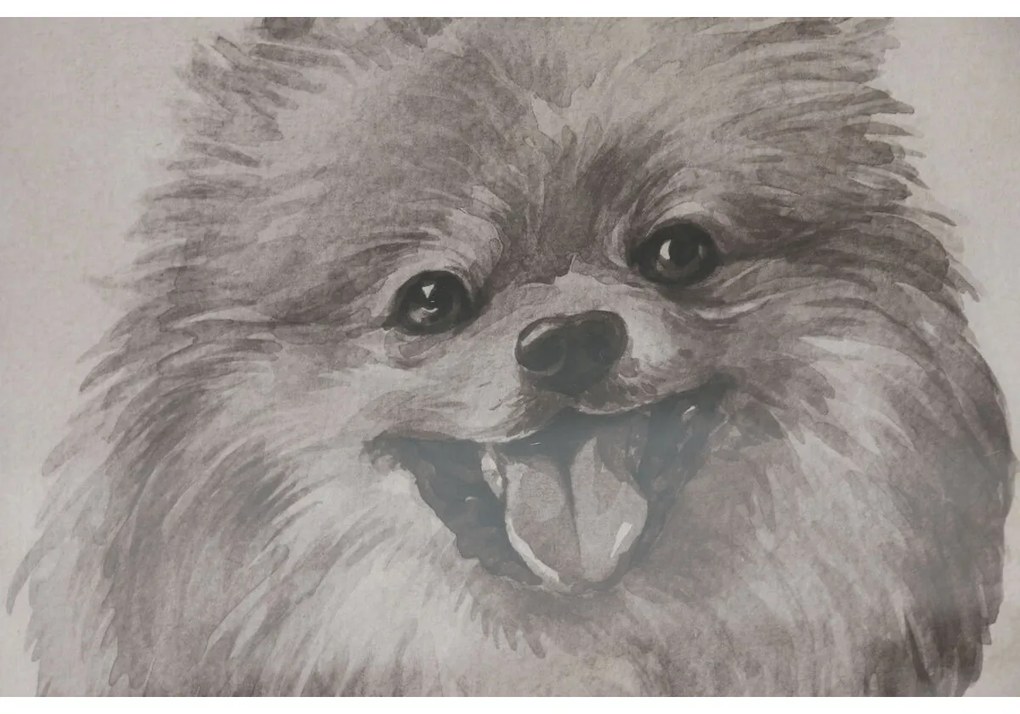 Πίνακας Home ESPRIT Κρυστάλλινο Έλατο 30 x 2,5 x 40 cm (x6)