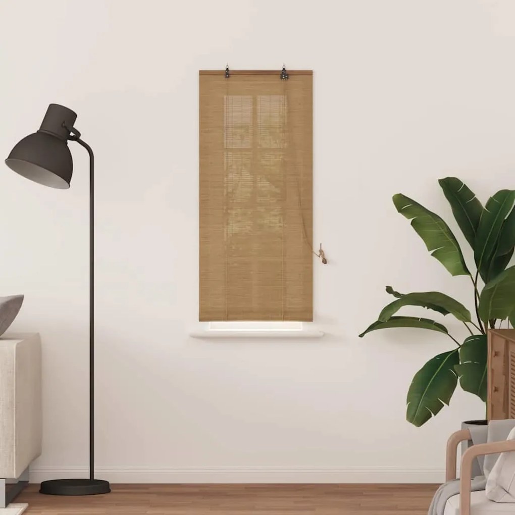 vidaXL Ρολά και Σκίες Παραθύρων Ανοιχτό καφέ 60 x 160 εκ. Μπαμπού