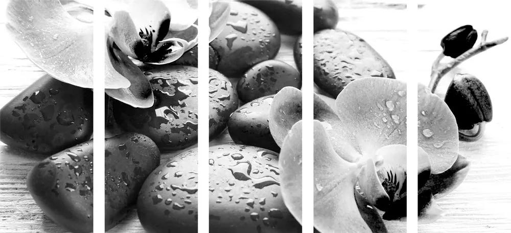 Εικόνα 5 μερών όμορφη αλληλεπίδραση πέτρες και ορχιδέες σε ασπρόμαυρο