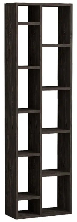 Βιβλιοθήκη Minicu pakoworld σε σκούρο καρυδί απόχρωση 44,4x19,6x150εκ (1 τεμάχια)