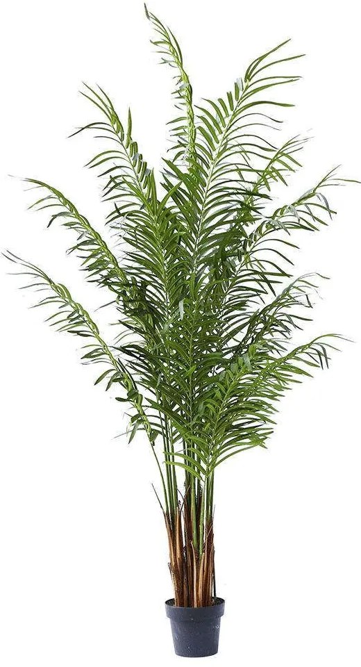 Τεχνητό Δέντρο Αρέκα 4860-6 80x80x210cm Green Supergreens Polyethylene