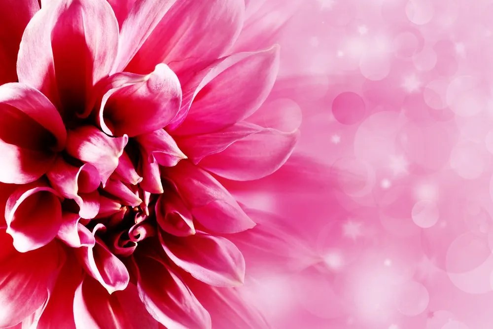 Εικόνα ροζ λουλούδι - 120x80