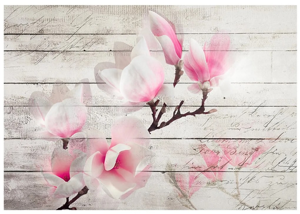 Φωτοταπετσαρία - Gentleness of the Magnolia 400x280