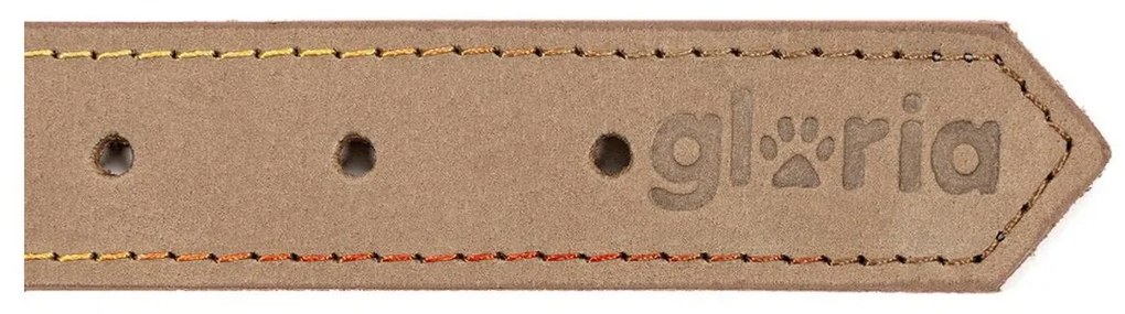 Κολλάρο Σκύλου Gloria Oasis Μπεζ (1,2 x 35 cm)