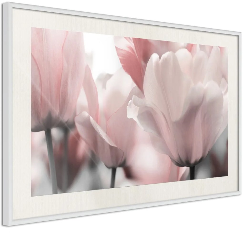 Αφίσα - Pastel Tulips II - 30x20 - Χρυσό - Χωρίς πασπαρτού