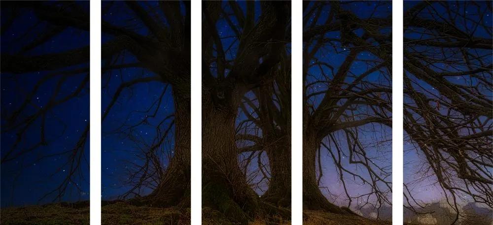 5 μέρη εικόνα δάσους στο νυχτερινό τοπίο - 100x50