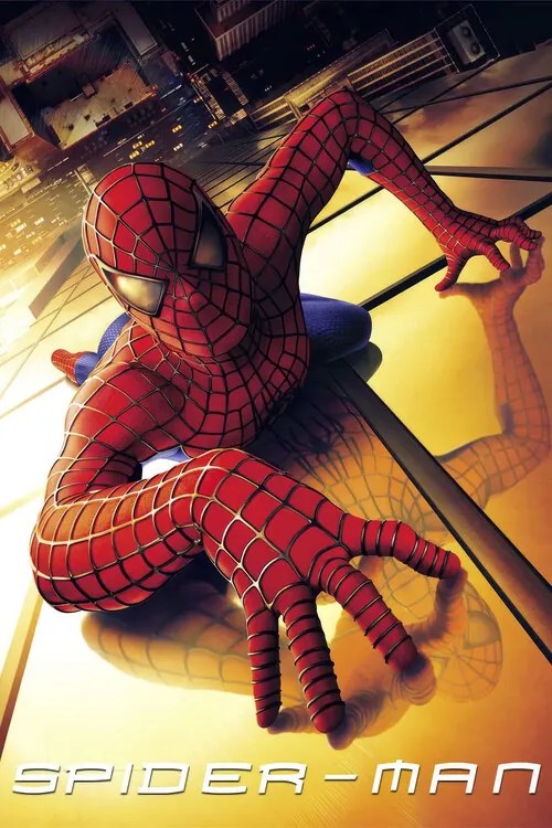Εικονογράφηση Spider-Man (2002)