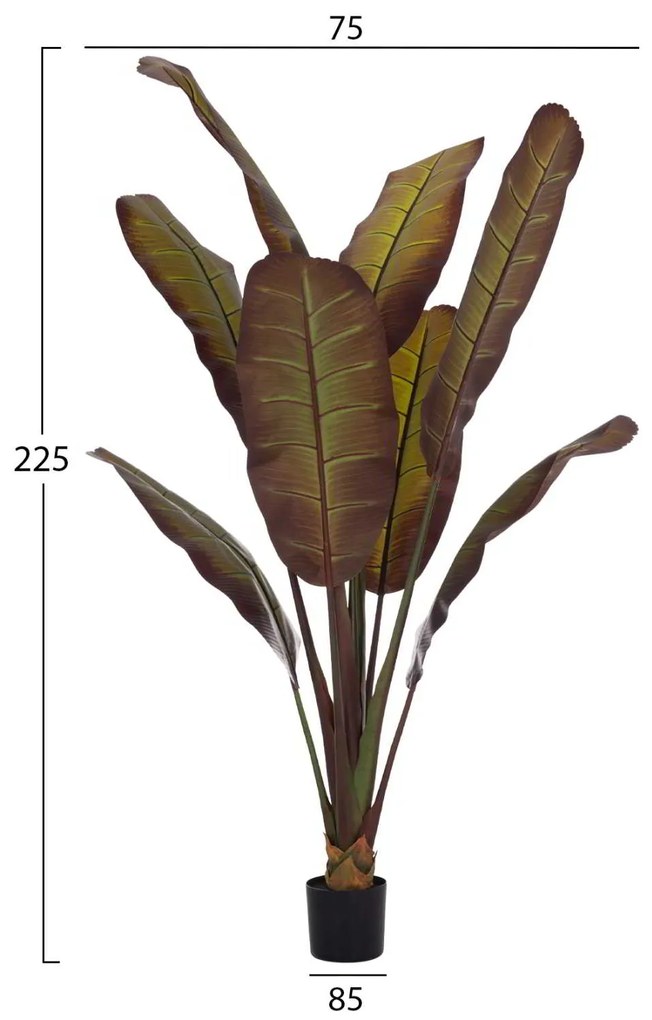 ΔΙΑΚΟΣΜΗΤΙΚΟ ΣΥΝΘΕΤΙΚΟ ΦΥΤΟ HM4740 ΙΑΠΩΝΙΚΗ ΜΠΑΝΑΝΑ ΣΕ ΓΛΑΣΤΡΑ 85x75x225Υεκ.