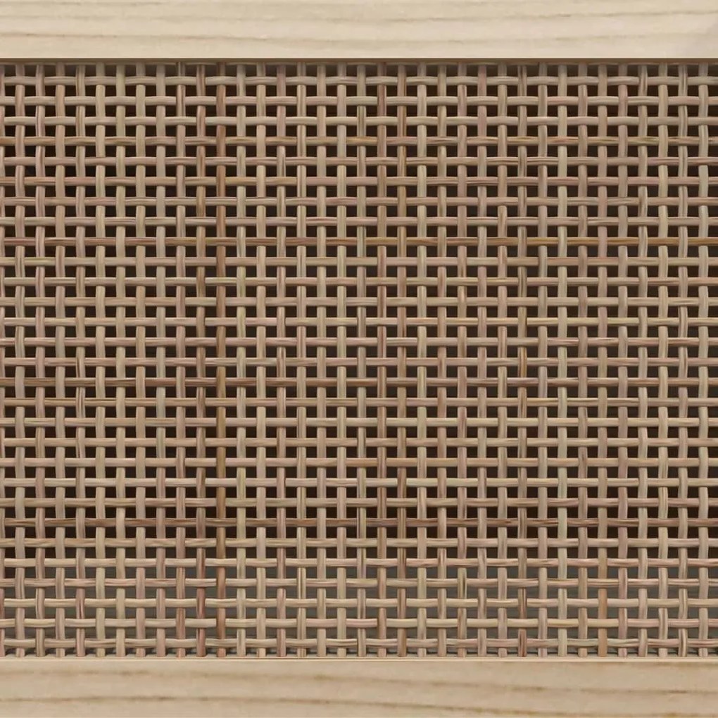 vidaXL Έπιπλο Τηλεόρασης Καφέ 105x30x40 εκ Μασίφ Πεύκο &amp; Φυσικό Ρατάν