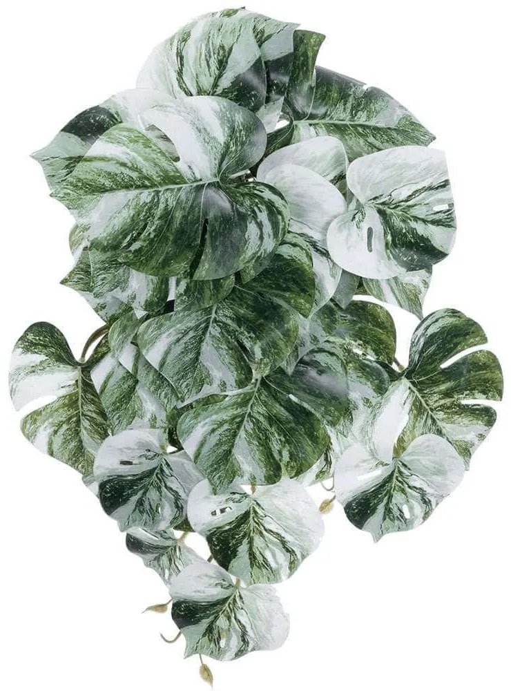 Τεχνητό Κρεμαστό Φυτό Albino Monstera 20609 45cm White-Green GloboStar Ύφασμα