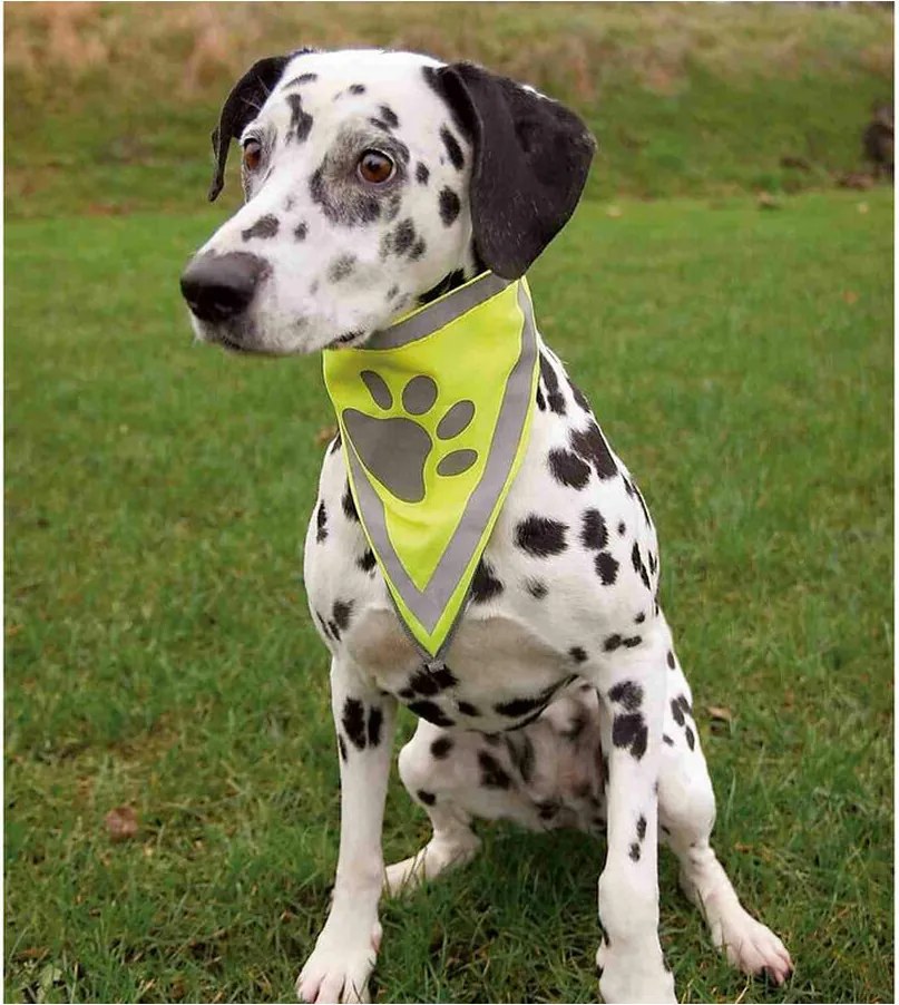 Μπαντάνα Trixie