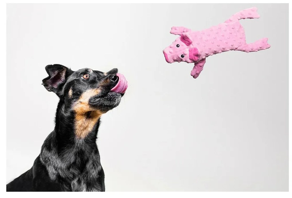 Βελούδινο Ζωάκι για Σκύλους Gloria Dogmonsters Ροζ 100 % πολυεστέρας Γουρούνι 34 x 9 cm