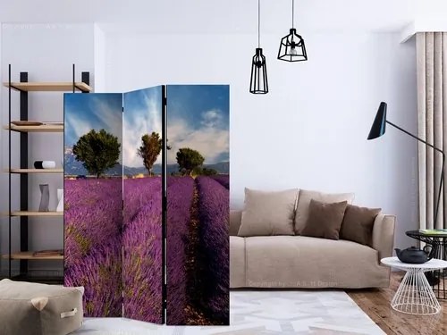 Διαχωριστικό με 3 τμήματα - Lavender field in Provence, France [Room Dividers]