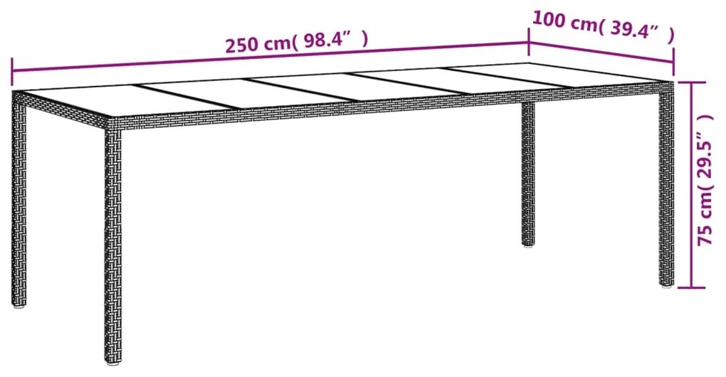 vidaXL Τραπέζι Κήπου Καφέ 250x100x75 εκ. Ψημένο Γυαλί/Συνθετικό Ρατάν