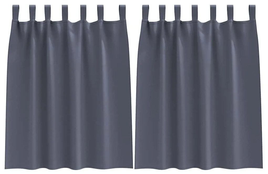 vidaXL Κουρτίνες με κουρτίνες 2 pcs Ανθρακί Πολυεστέρας