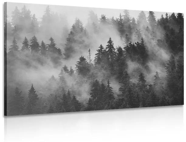 Εικόνα βουνών στην ομίχλη σε μαύρο & άσπρο - 90x60